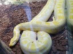 Haus des Meeres 4.02.2026